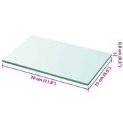 Regalboden Glas Transparent 30x15 cm