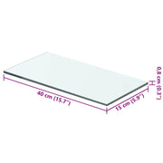 Regalboden Glas Transparent 40x15 cm