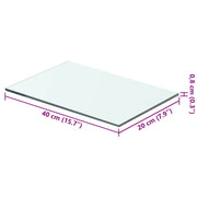 Regalboden Glas Transparent 40x20 cm