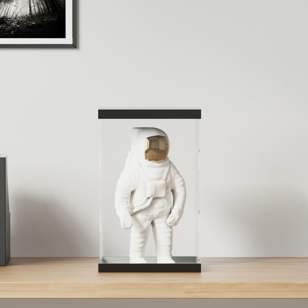 Acryl-Vitrine transparent 22x18x35 cm